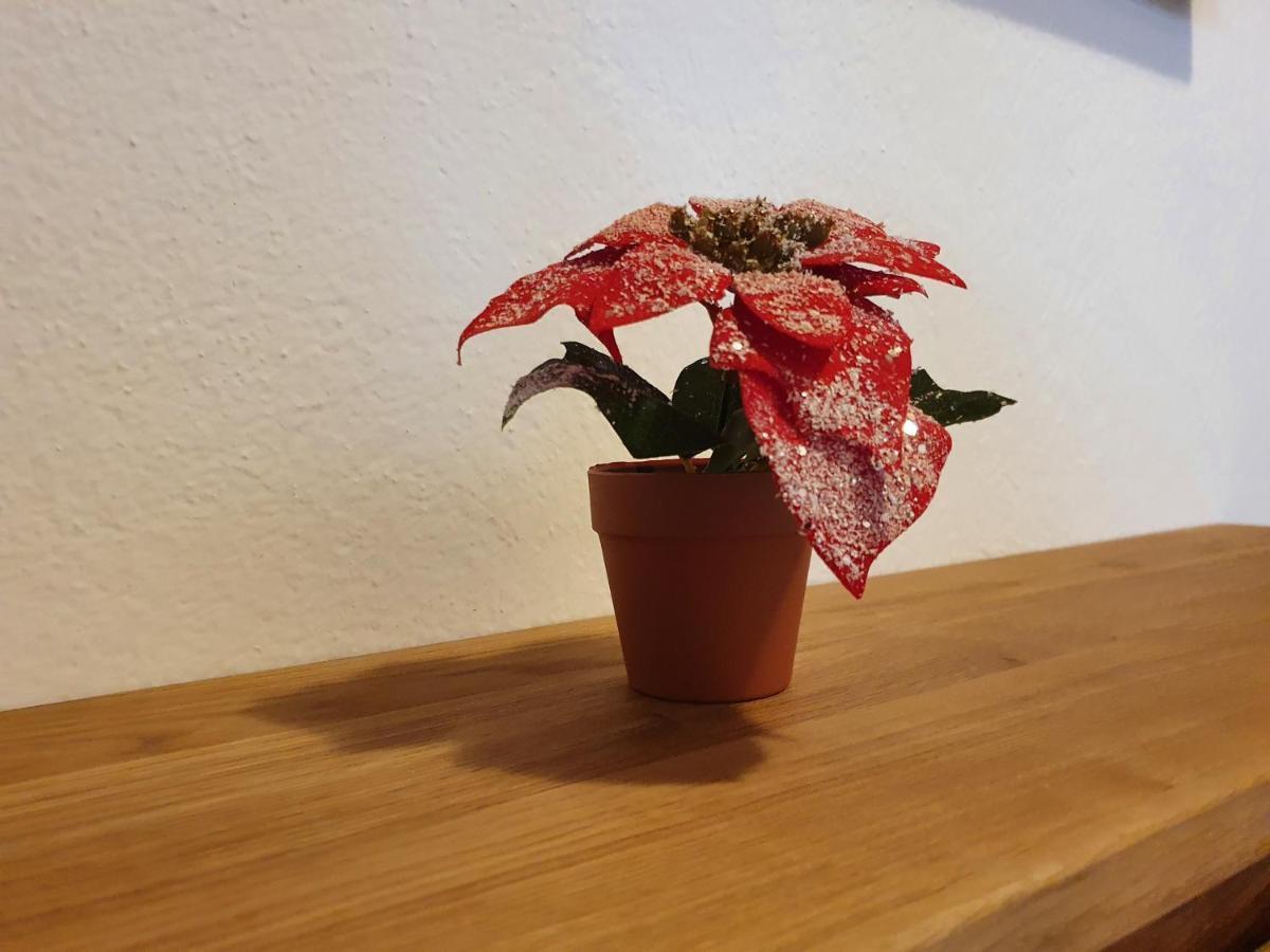 Ferienwohnung Kroell Zell am Ziller Ngoại thất bức ảnh